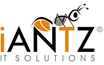 iANTZ IT SOLUTIONS